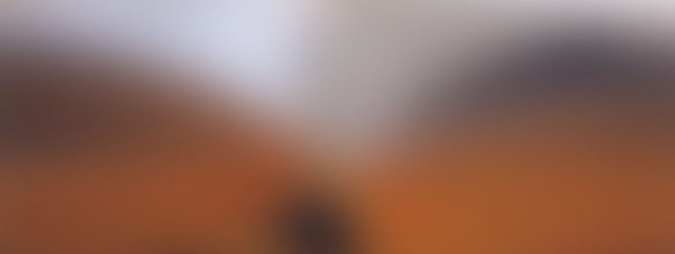 blog 07