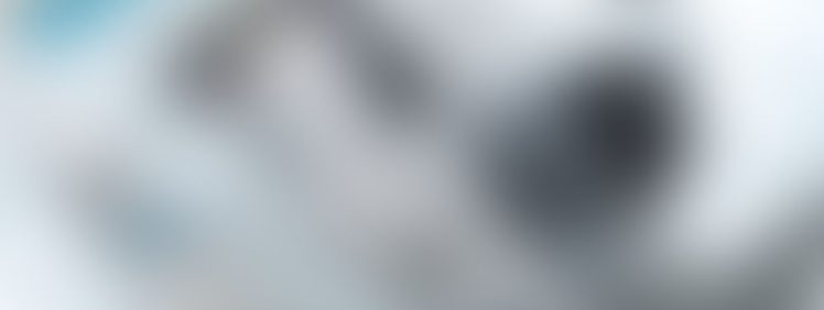 blog 11