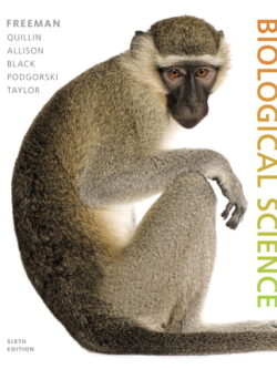 Biological Science (6th Edition) By Scott Freeman