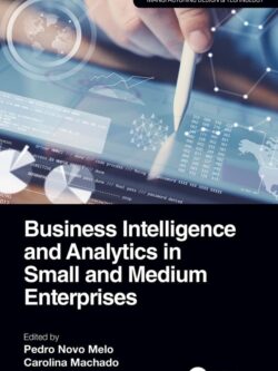 Business Intelligence and Analytics in Small and Medium Enterprises