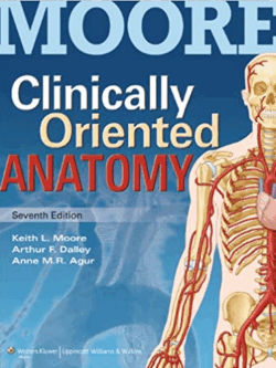 Clinically Oriented Anatomy 7th Edition, ISBN-13: 978-1451119459