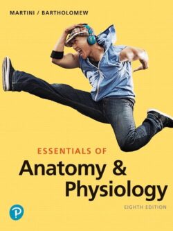 Essentials of Anatomy and Physiology (8th Edition)