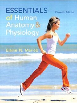 Essentials of Human Anatomy & Physiology (11th Edition)