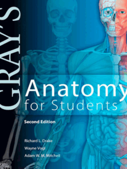 Gray’s Anatomy for Students 2nd Edition, ISBN-13: 978-0443069529