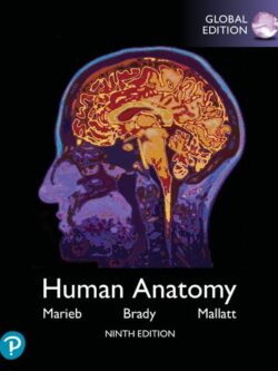 Human Anatomy (9th Global Edition) – Marieb/Mallatt/Brady