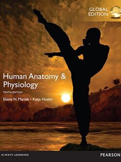 Human Anatomy & Physiology (10th Edition) Global