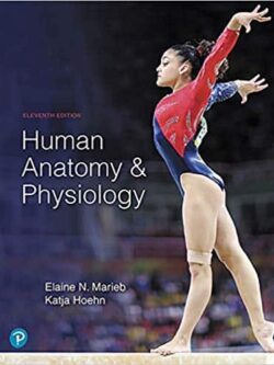 Human Anatomy & Physiology (11th Edition) – Marieb and Hoehn