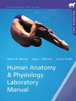 Human Anatomy & Physiology: Cat Version 11th Edition, ISBN-13: 978-0321822192