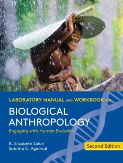 Laboratory Manual and Workbook for Biological Anthropology (2nd Edition)