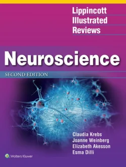 Lippincott Illustrated Reviews: Neuroscience (2nd Edition)