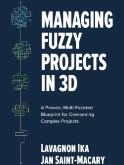 Managing Fuzzy Projects in 3D: A Proven, Multi-Faceted Blueprint for Overseeing Complex Projects