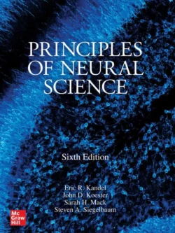 Principles of Neural Science (6th Edition)