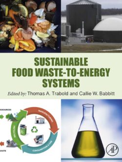 Sustainable Food Waste-to-Energy Systems