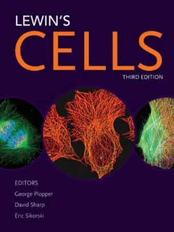 Lewin’s CELLS (3rd Edition)
